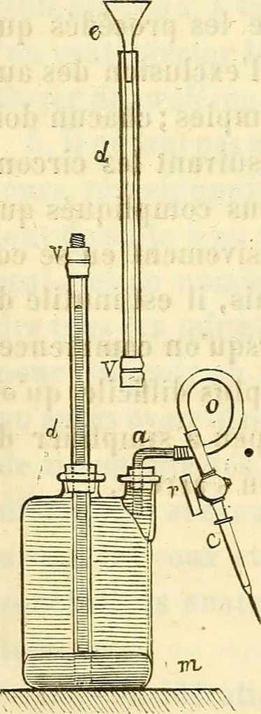 An illustration from Du microscope et des injections : dans leurs applications à l'anatomie et à la pathologie, suivi d'une classification des sciences fondamentales, de celle de la biologie et de l'anatomie en particulier, 1849, leaf 71