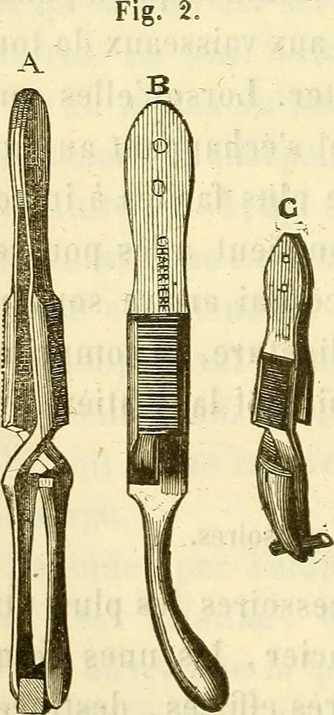 An illustration from Du microscope et des injections : dans leurs applications à l'anatomie et à la pathologie, suivi d'une classification des sciences fondamentales, de celle de la biologie et de l'anatomie en particulier, 1849, leaf 77