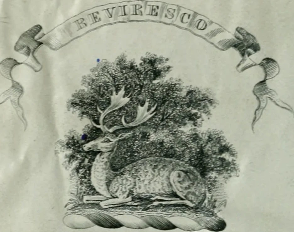 An illustration from Duodecim specula deum aliquando videre desideranti concinnata, 1610, leaf 1