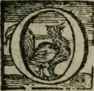 An illustration from Duodecim specula deum aliquando videre desideranti concinnata, 1610, leaf 72
