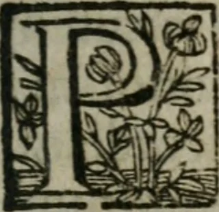 An illustration from Duodecim specula deum aliquando videre desideranti concinnata, 1610, leaf 160