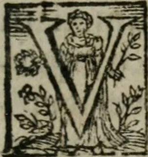 An illustration from Duodecim specula deum aliquando videre desideranti concinnata, 1610, leaf 176