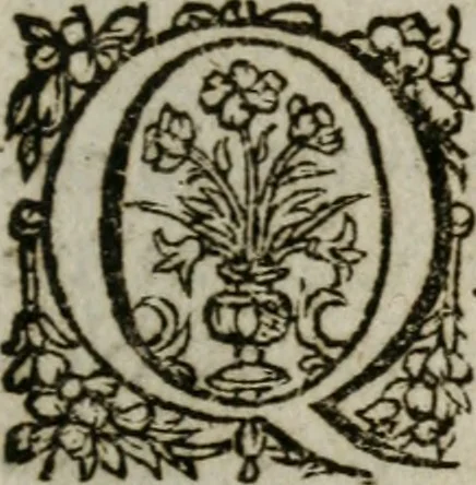 An illustration from Duodecim specula deum aliquando videre desideranti concinnata, 1610, leaf 18
