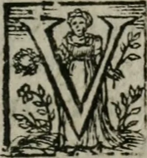 An illustration from Duodecim specula deum aliquando videre desideranti concinnata, 1610, leaf 58