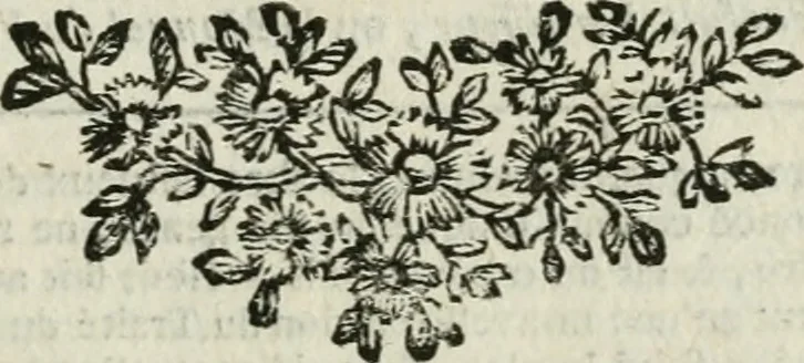 An illustration from L'art du peintre, doreur, vernisseur; ouvrage utile aux artistes & aux amateurs qui veulent entreprendre de peindre, dorer & vernir toutes sortes de sujets, en bâtimens, meubles, bijoux, équipages, &c, 1787, leaf 12