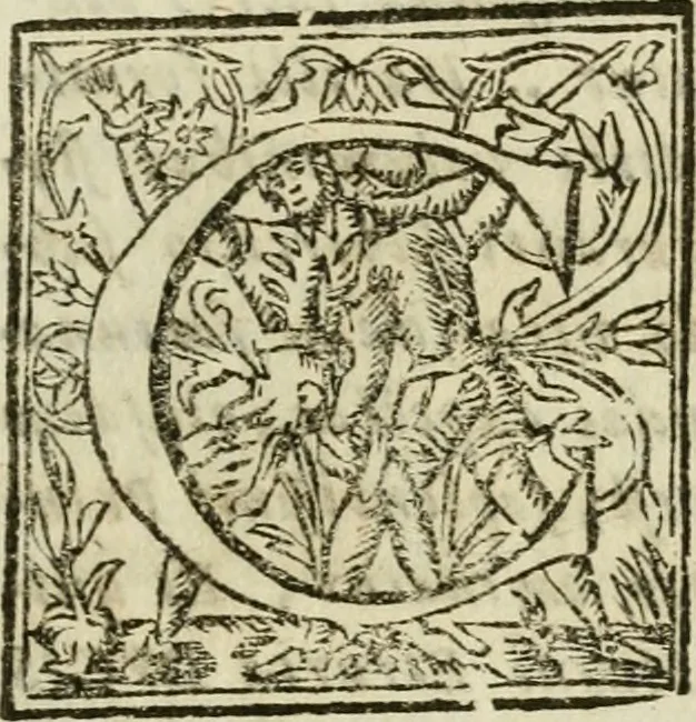 An illustration from Duplex dissertatio de duobus nummis Diocletiani et Licinii : ex cimelijs sereniss. ac reuerendiss. principis Leopoldi Cardinalis Medicei : cum auctario chronologico de votis decennalibus imperatorum ac caesarum, 1675, leaf 120