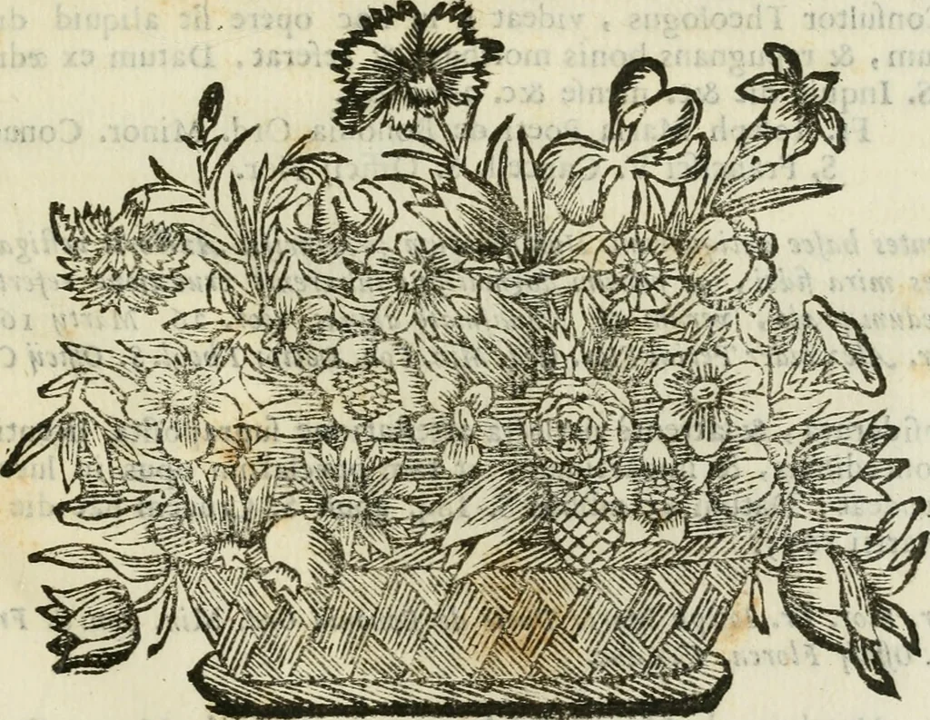 An illustration from Duplex dissertatio de duobus nummis Diocletiani et Licinii : ex cimelijs sereniss. ac reuerendiss. principis Leopoldi Cardinalis Medicei : cum auctario chronologico de votis decennalibus imperatorum ac caesarum, 1675, leaf 170