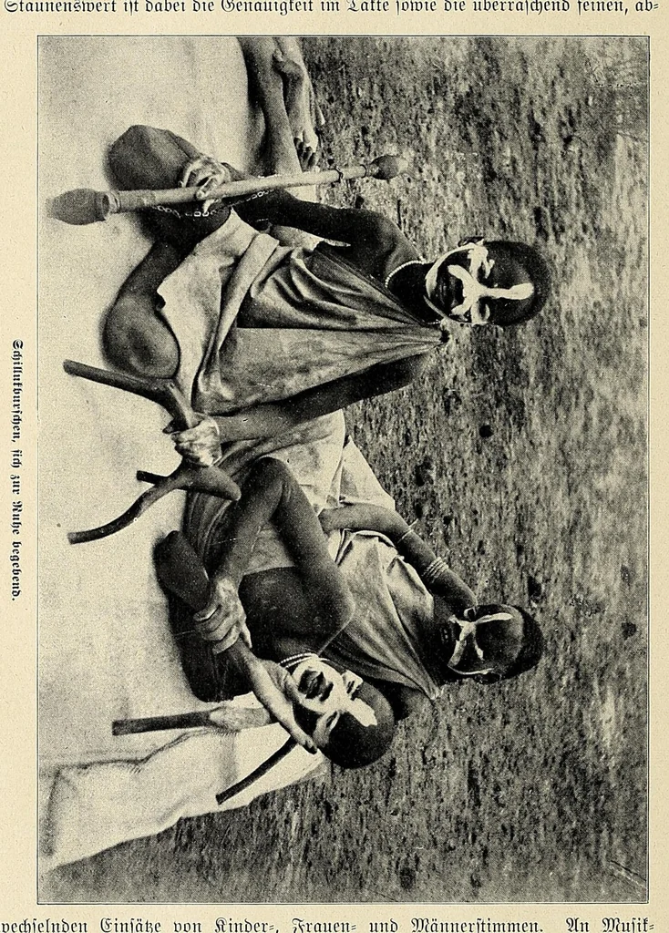An illustration from Durch Sand, Sumpf und Wald : Missionsreisen in Zentral-Afrika, 1914, leaf 206