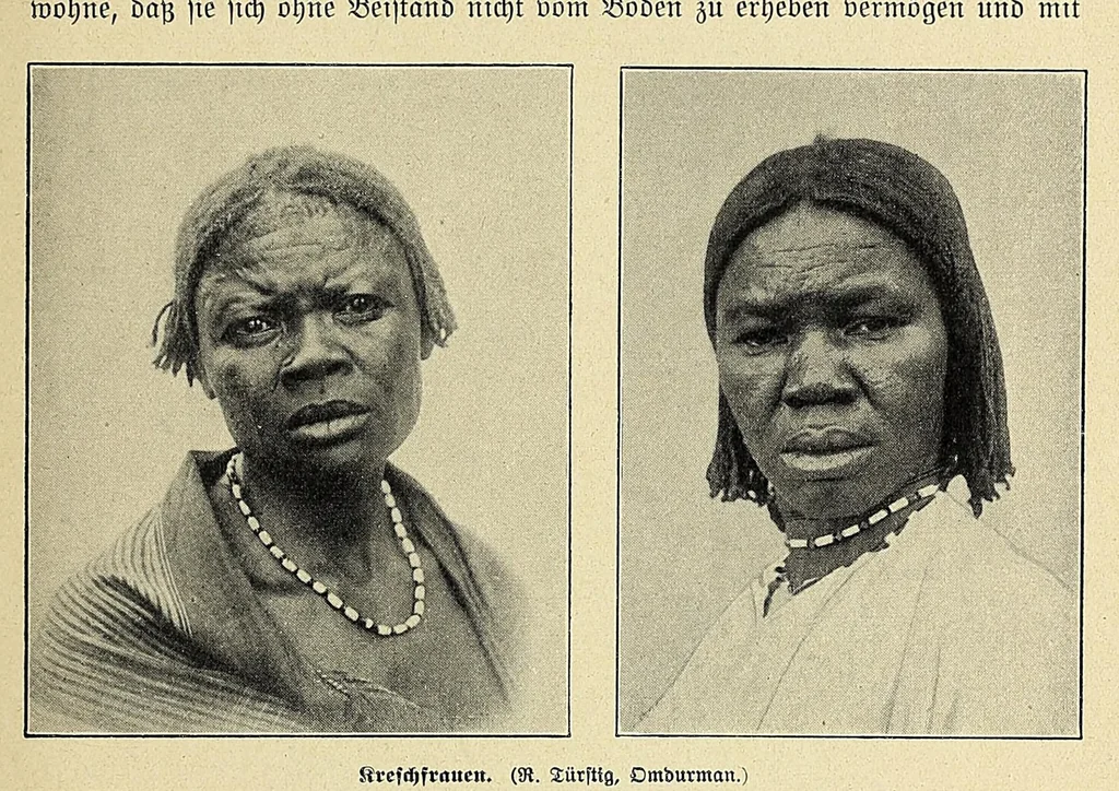 An illustration from Durch Sand, Sumpf und Wald : Missionsreisen in Zentral-Afrika, 1914, leaf 245