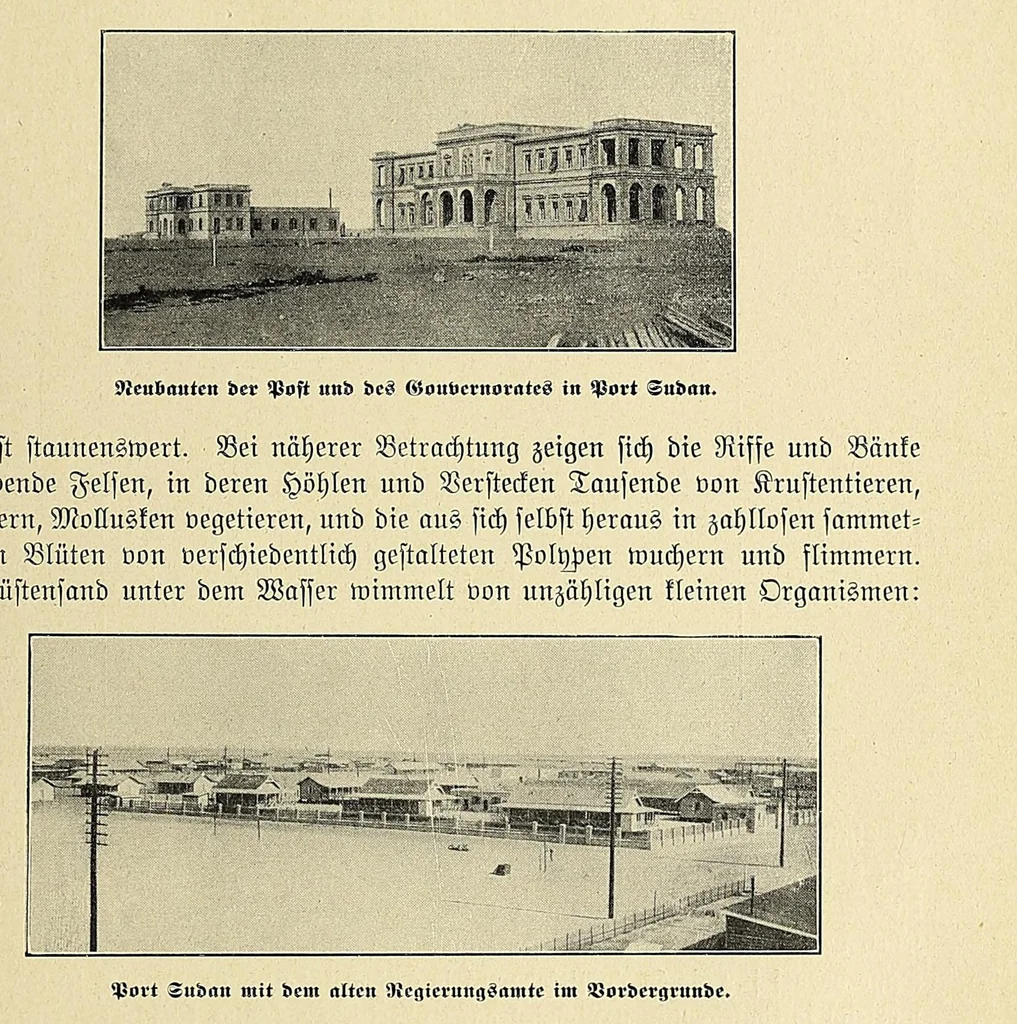 An illustration from Durch Sand, Sumpf und Wald : Missionsreisen in Zentral-Afrika, 1914, leaf 291
