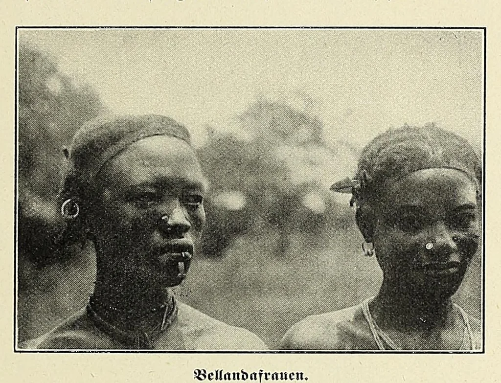 An illustration from Durch Sand, Sumpf und Wald : Missionsreisen in Zentral-Afrika, 1914, leaf 349