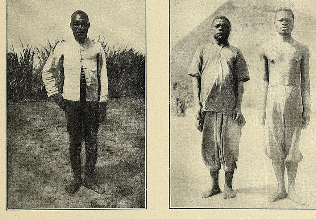 An illustration from Durch Sand, Sumpf und Wald : Missionsreisen in Zentral-Afrika, 1914, leaf 407