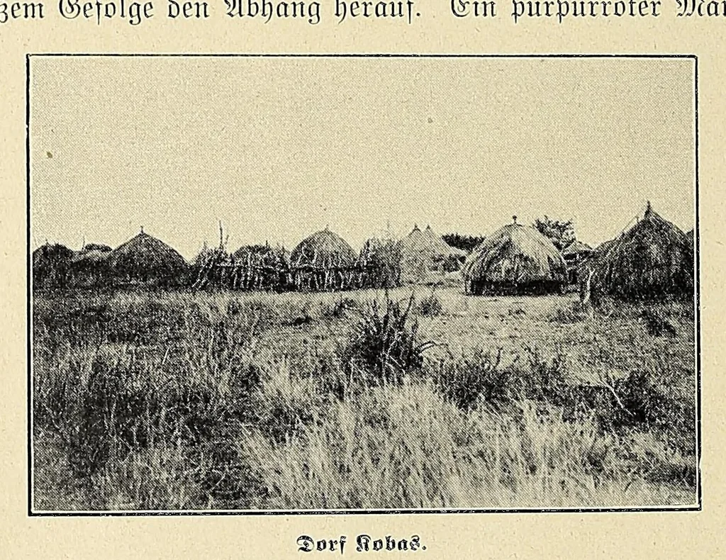 An illustration from Durch Sand, Sumpf und Wald : Missionsreisen in Zentral-Afrika, 1914, leaf 454