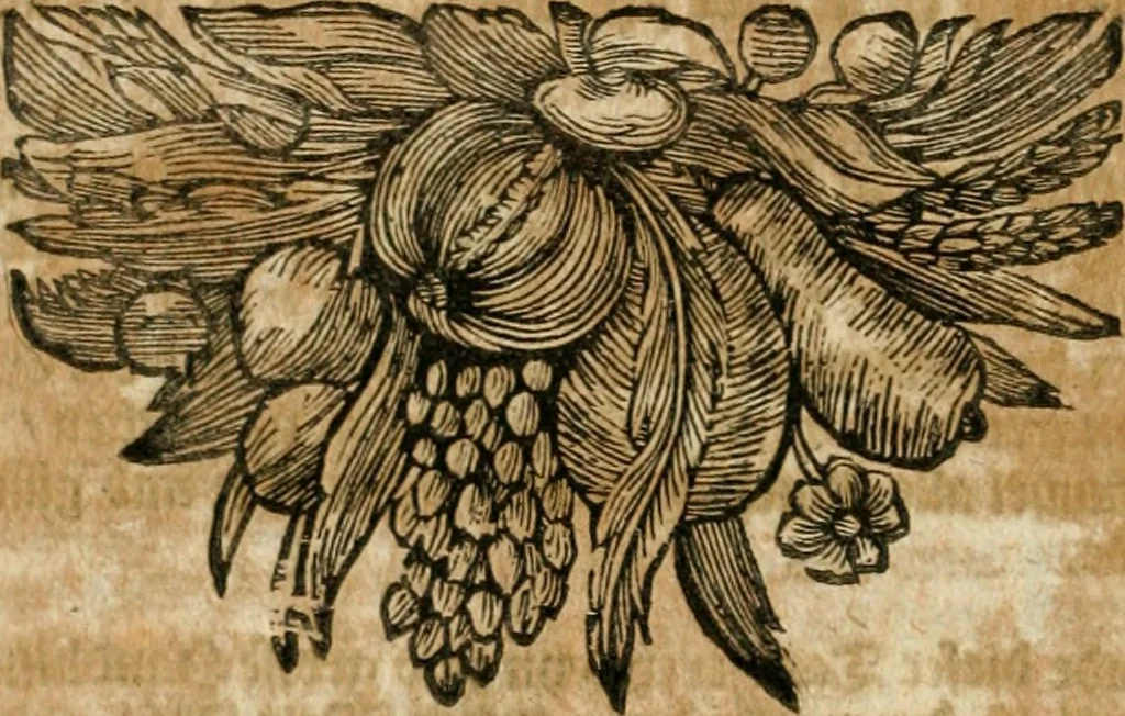 An illustration from Tapisseries du roy, ou sont representez les quatre elemens et les quatre saisons : avec les devises qvi les accompagnent & leur explication = Königliche französische Tapezereyen, oder überauss schöne Sinn-Bilder, in welchen die vier Element, samt den vier Jahr-Zeiten, neben den Dencksprüchen und ihren Ausslegungen, vorgestellet werden, 1690, leaf 67