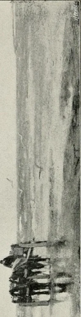 An illustration from Dutch art in the 19th century;, 1909, leaf 242