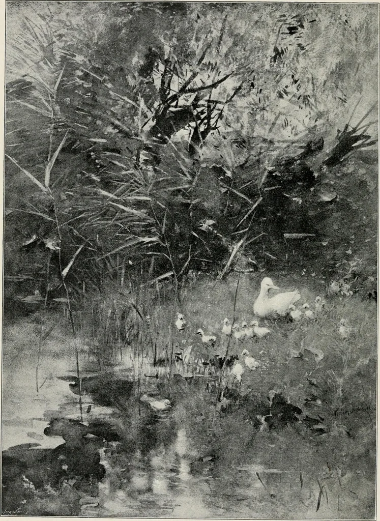 An illustration from Dutch art in the 19th century;, 1909, leaf 272