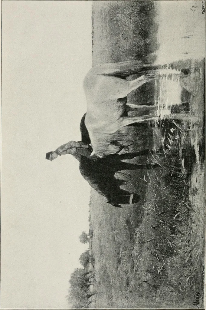 An illustration from Dutch art in the 19th century;, 1909, leaf 278