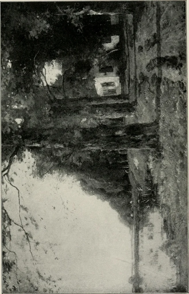 An illustration from Dutch art in the 19th century;, 1909, leaf 355