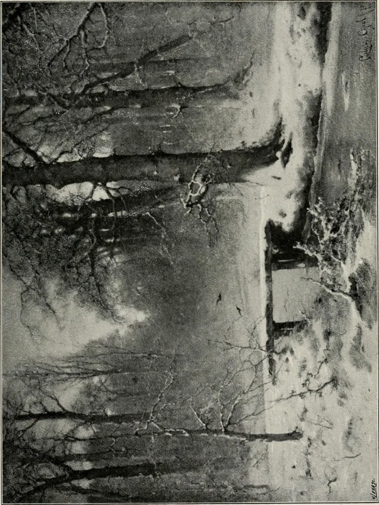 An illustration from Dutch art in the 19th century;, 1909, leaf 357
