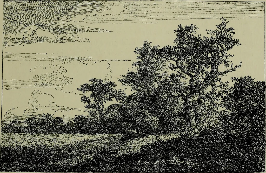 An illustration from Dutch etchers of the seventeenth century, 1905, leaf 42