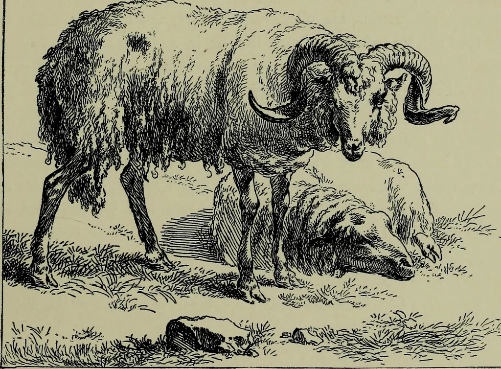An illustration from Dutch etchers of the seventeenth century, 1905, leaf 54