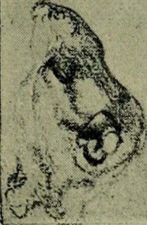 An illustration from Dutch etchers of the seventeenth century, 1905, leaf 62