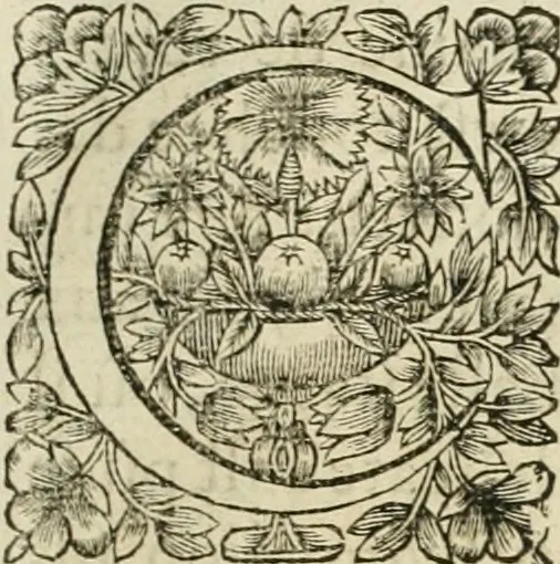 An illustration from Tableaux du temple des muses : tirez du cabinet de feu Mr. Fauereau, conseiller du roy en sa Cour des aydes, & grauez en tailles-douces par les meilleurs maistres de son temps, pour representer les vertus & les vices, sur les plus illustres fables de l'antiquité, 1655, leaf 200