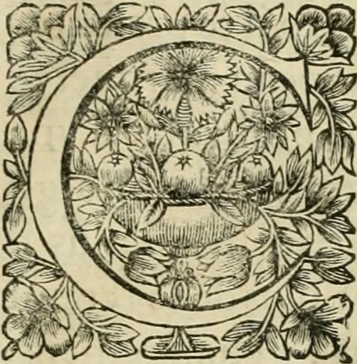 An illustration from Tableaux du temple des muses : tirez du cabinet de feu Mr. Fauereau, conseiller du roy en sa Cour des aydes, & grauez en tailles-douces par les meilleurs maistres de son temps, pour representer les vertus & les vices, sur les plus illustres fables de l'antiquité, 1655, leaf 290