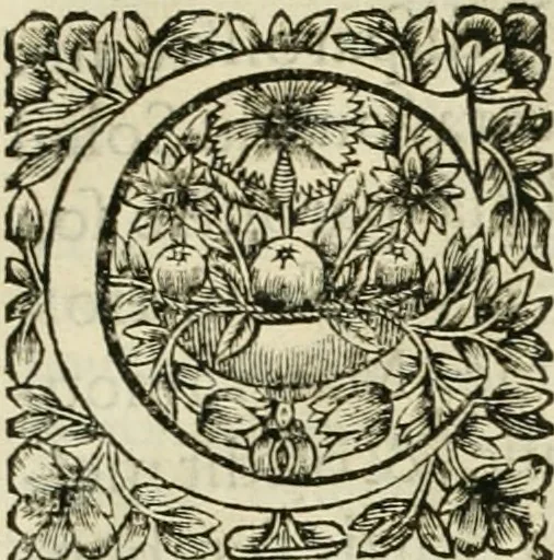 An illustration from Tableaux du temple des muses : tirez du cabinet de feu Mr. Fauereau, conseiller du roy en sa Cour des aydes, & grauez en tailles-douces par les meilleurs maistres de son temps, pour representer les vertus & les vices, sur les plus illustres fables de l'antiquité, 1655, leaf 320