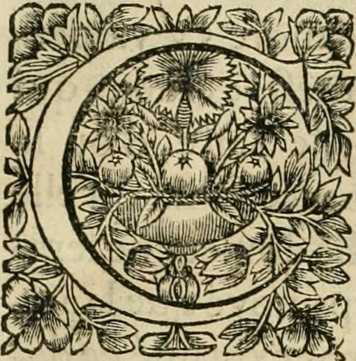An illustration from Tableaux du temple des muses : tirez du cabinet de feu Mr. Fauereau, conseiller du roy en sa Cour des aydes, & grauez en tailles-douces par les meilleurs maistres de son temps, pour representer les vertus & les vices, sur les plus illustres fables de l'antiquité, 1655, leaf 370