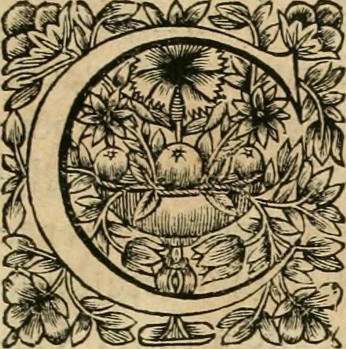 An illustration from Tableaux du temple des muses : tirez du cabinet de feu Mr. Fauereau, conseiller du roy en sa Cour des aydes, & grauez en tailles-douces par les meilleurs maistres de son temps, pour representer les vertus & les vices, sur les plus illustres fables de l'antiquité, 1655, leaf 470