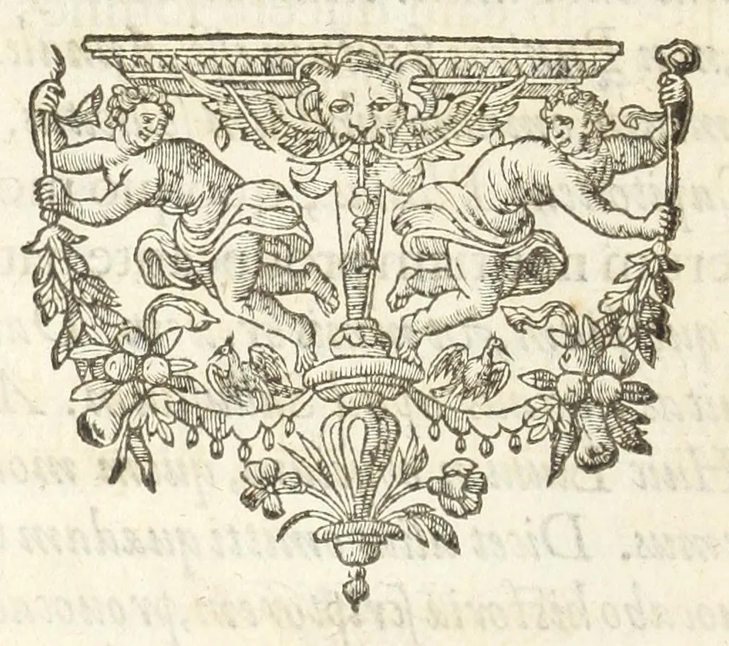An illustration from Dvcvm Brabantiae chronica, 1600, leaf 20