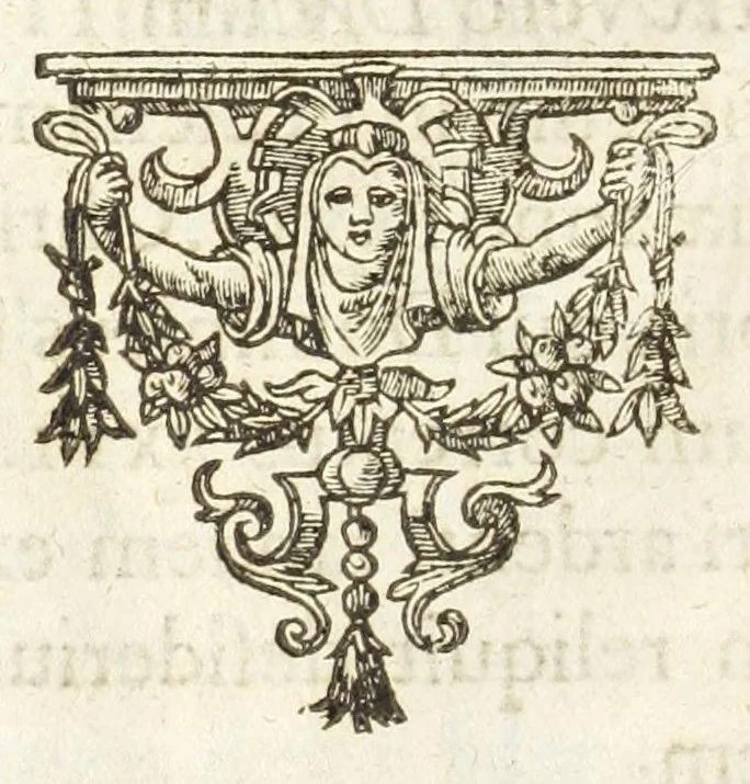 An illustration from Dvcvm Brabantiae chronica, 1600, leaf 200