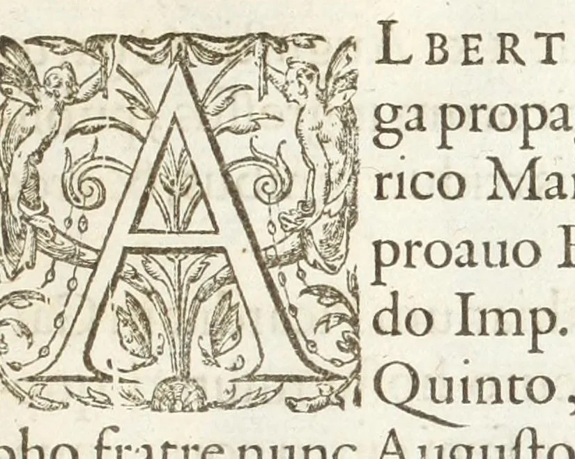 An illustration from Dvcvm Brabantiae chronica, 1600, leaf 201
