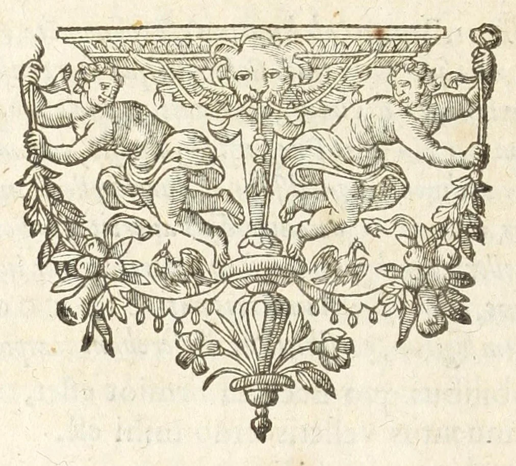 An illustration from Dvcvm Brabantiae chronica, 1600, leaf 214