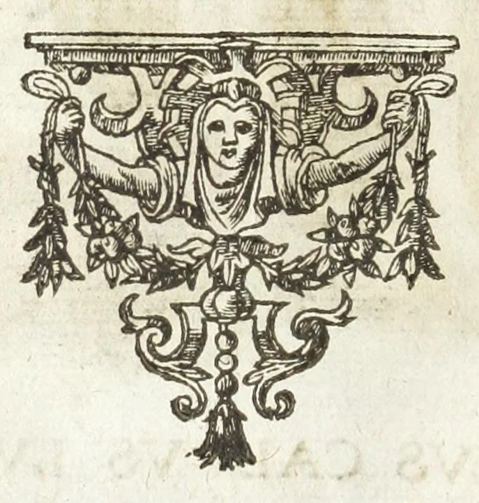 An illustration from Dvcvm Brabantiae chronica, 1600, leaf 228