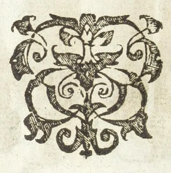 An illustration from Dvcvm Brabantiae chronica, 1600, leaf 230