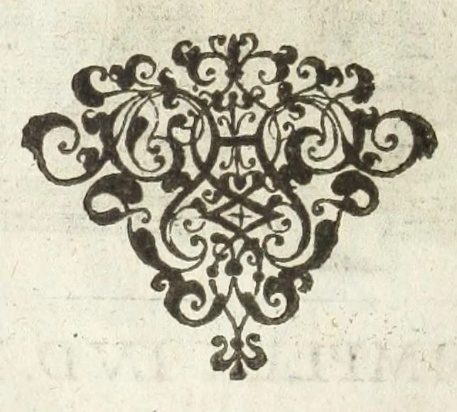 An illustration from Dvcvm Brabantiae chronica, 1600, leaf 232
