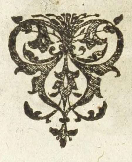 An illustration from Dvcvm Brabantiae chronica, 1600, leaf 234