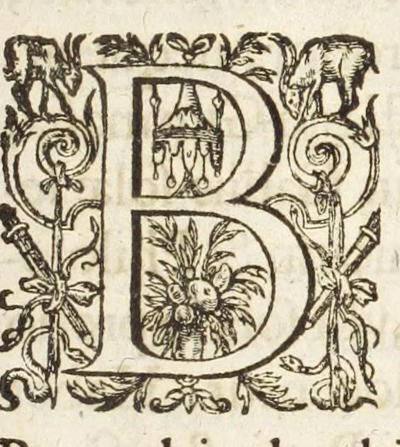 An illustration from Dvcvm Brabantiae chronica, 1600, leaf 25