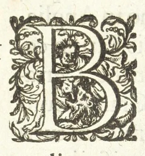 An illustration from Dvcvm Brabantiae chronica, 1600, leaf 30