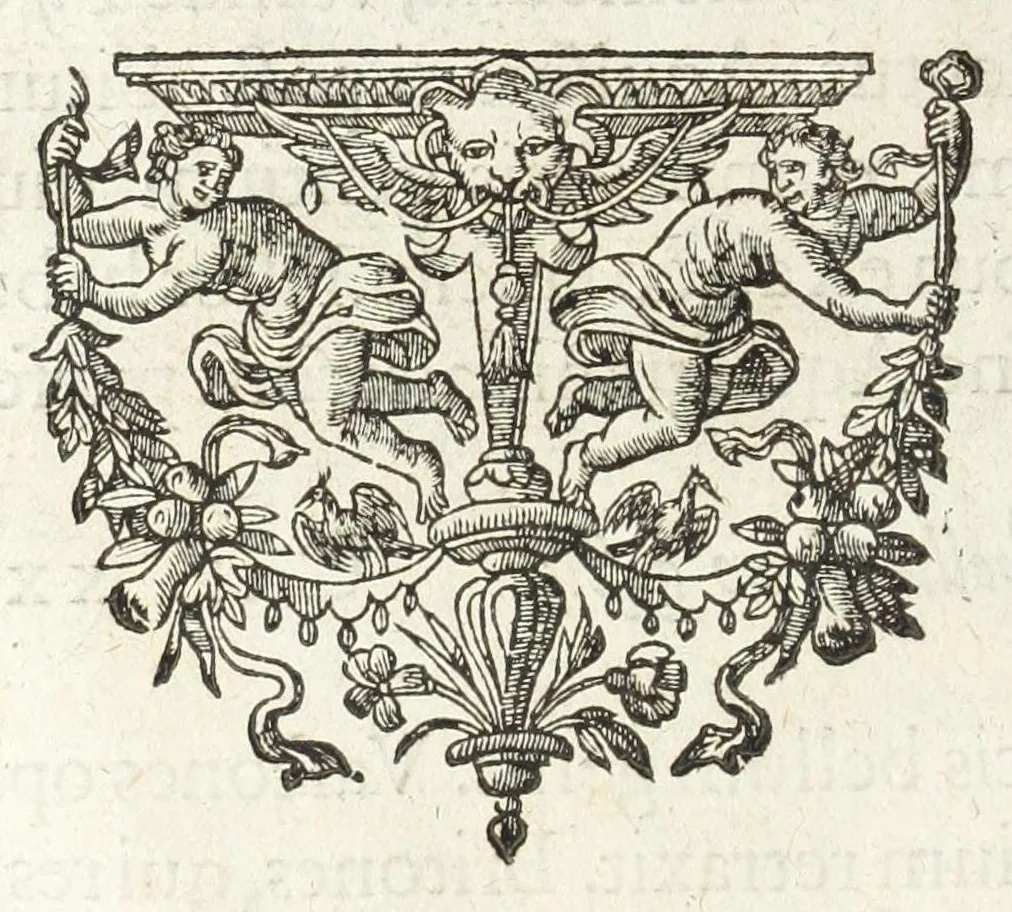 An illustration from Dvcvm Brabantiae chronica, 1600, leaf 50
