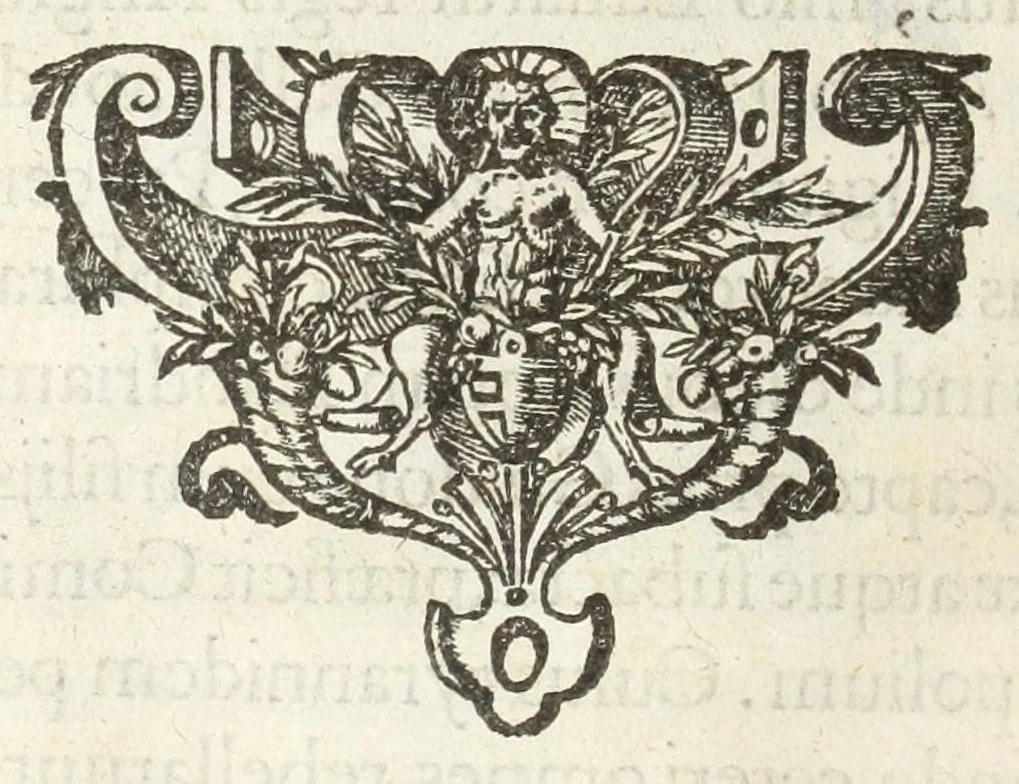 An illustration from Dvcvm Brabantiae chronica, 1600, leaf 72