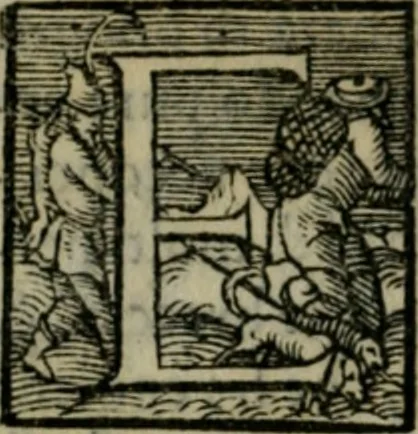 An illustration from Dve lezzioni di M. Benedetto Varchi : nella prima delle qvali si dichiara vn sonetto di M. Michelagnolo Buonarroti : nella seconda si disputa quale sia piu nobile arte la scultura, o la pittura, con vna lettera d'esso Michelagnolo & piu altri eccellentiss. pittori et scultori sopra la quistione sopradetta, 1549, leaf 135