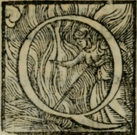 An illustration from Dve lezzioni di M. Benedetto Varchi : nella prima delle qvali si dichiara vn sonetto di M. Michelagnolo Buonarroti : nella seconda si disputa quale sia piu nobile arte la scultura, o la pittura, con vna lettera d'esso Michelagnolo & piu altri eccellentiss. pittori et scultori sopra la quistione sopradetta, 1549, leaf 153