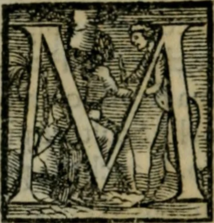 An illustration from Dve lezzioni di M. Benedetto Varchi : nella prima delle qvali si dichiara vn sonetto di M. Michelagnolo Buonarroti : nella seconda si disputa quale sia piu nobile arte la scultura, o la pittura, con vna lettera d'esso Michelagnolo & piu altri eccellentiss. pittori et scultori sopra la quistione sopradetta, 1549, leaf 155