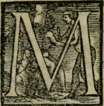 An illustration from Dve lezzioni di M. Benedetto Varchi : nella prima delle qvali si dichiara vn sonetto di M. Michelagnolo Buonarroti : nella seconda si disputa quale sia piu nobile arte la scultura, o la pittura, con vna lettera d'esso Michelagnolo & piu altri eccellentiss. pittori et scultori sopra la quistione sopradetta, 1549, leaf 157