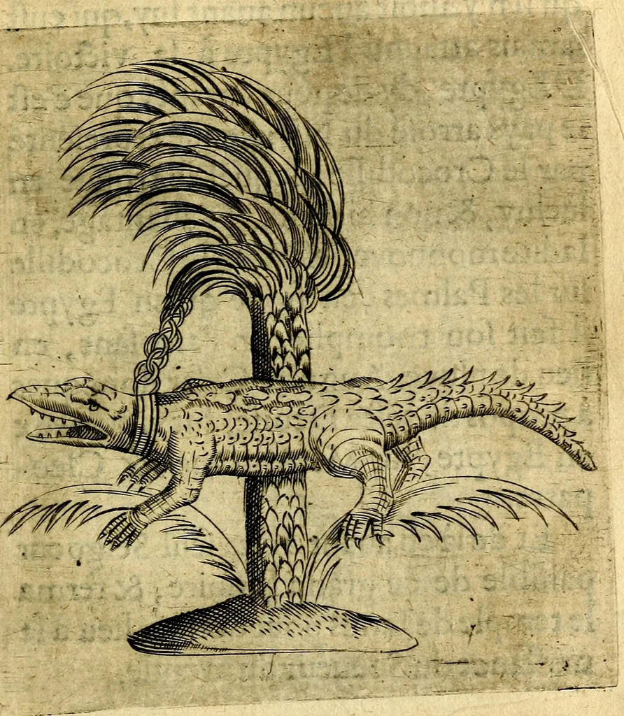 An illustration from Dévises héroiqves et emblèmes, 1622, leaf 102