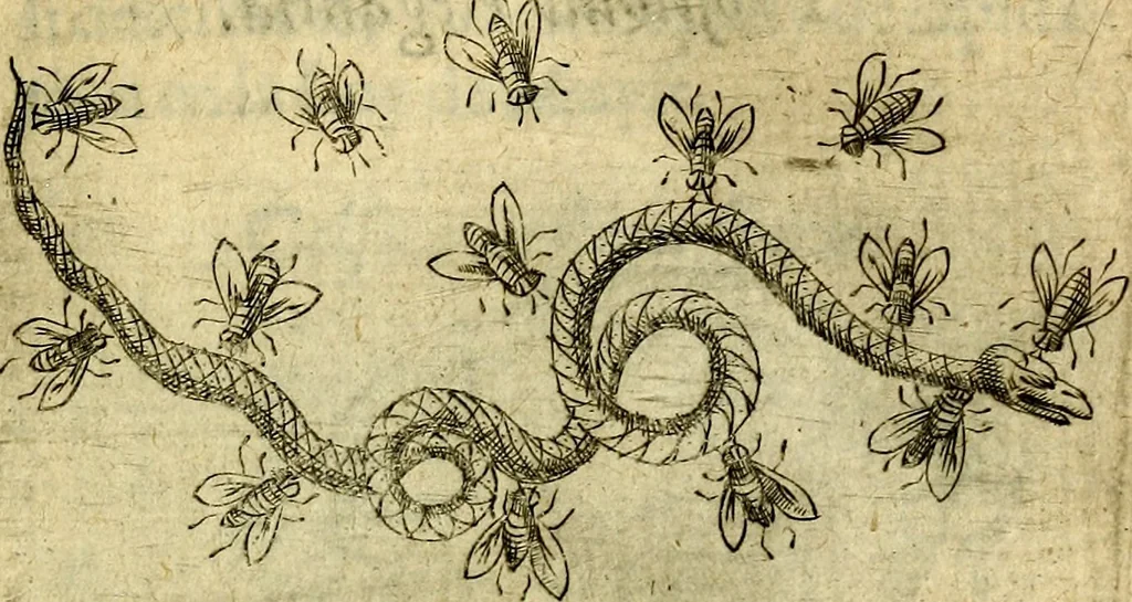 An illustration from Dévises héroiqves et emblèmes, 1622, leaf 124