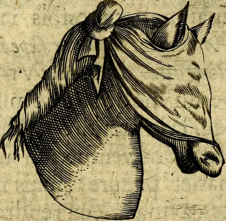 An illustration from Dévises héroiqves et emblèmes, 1622, leaf 196